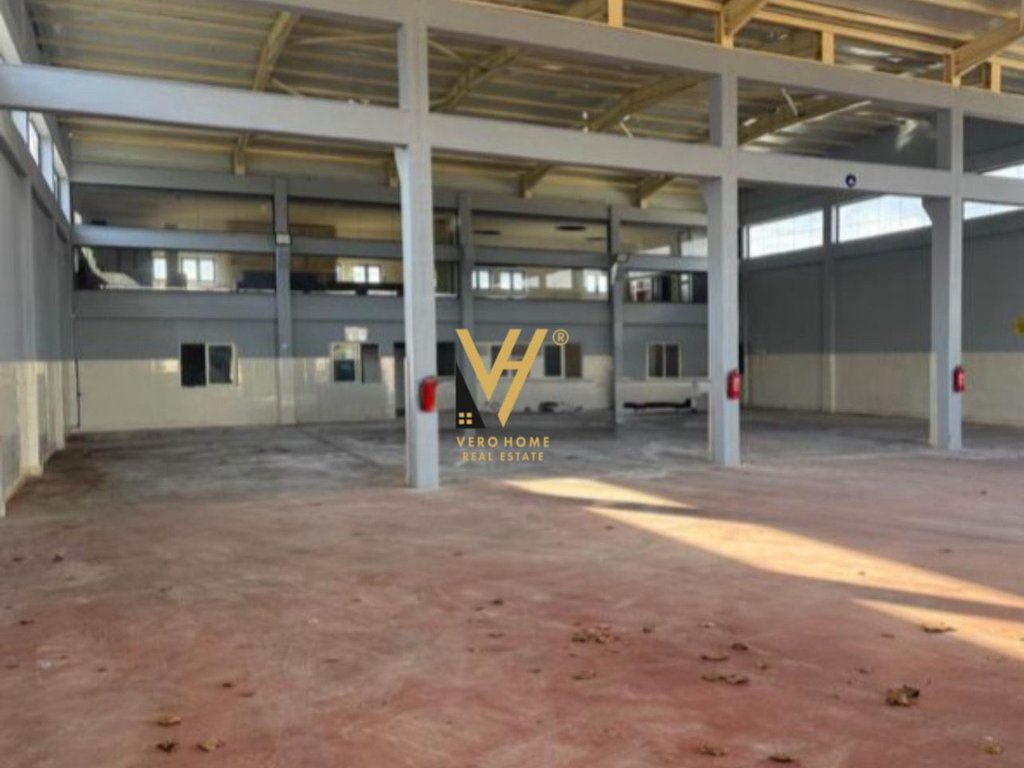 JEPET KAPANON 3.200 M2 ME QERA NE FUSHE KRUJE 290.000 LEKE