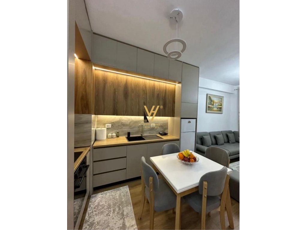 JEPET APARTAMENT 1+1+BLK ME QIRA TE KADIU, ALI DEMI 470 EURO 3