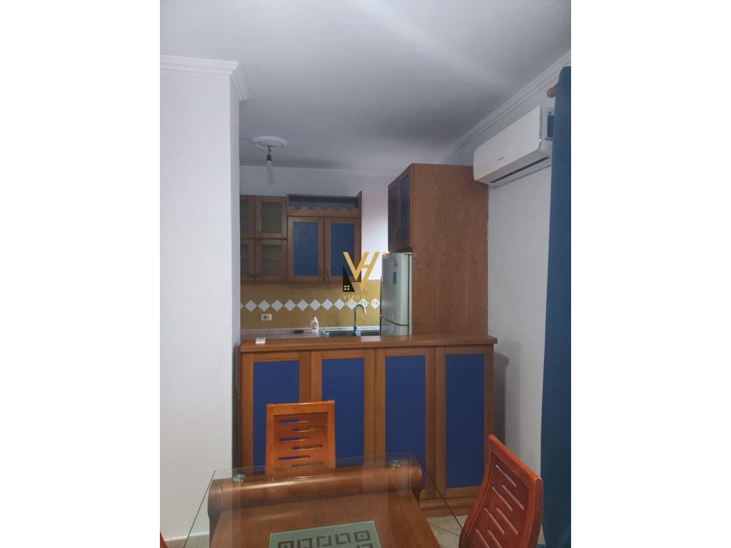 JEPET APARTAMENT 1+1+BLK ME QIRA TE IRFAN TOMINI 50.000 LEKE 3