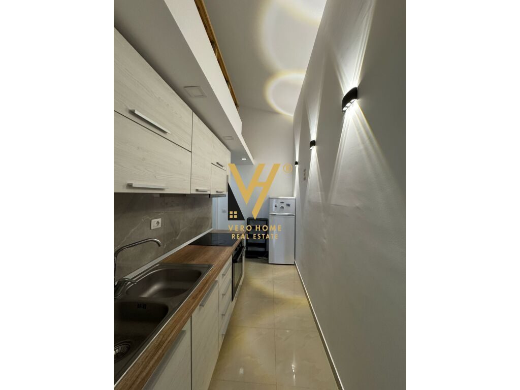 JEPET APARTAMENT 1+1+BLK ME QERA TE KODRA E DIELLIT 500 EURO 3