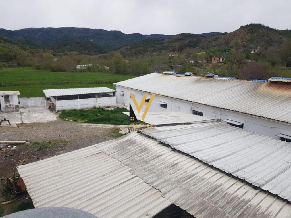 Shitet Ferme dhe Toke ne Baldushk 400 m2 2