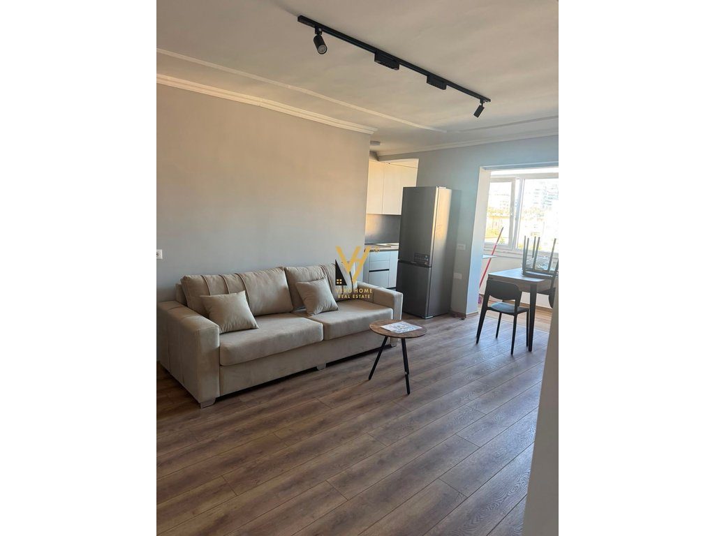 JEPET APARTAMENT 1+1+BLK ME QERA NE VASIL SHANTO 650 EURO