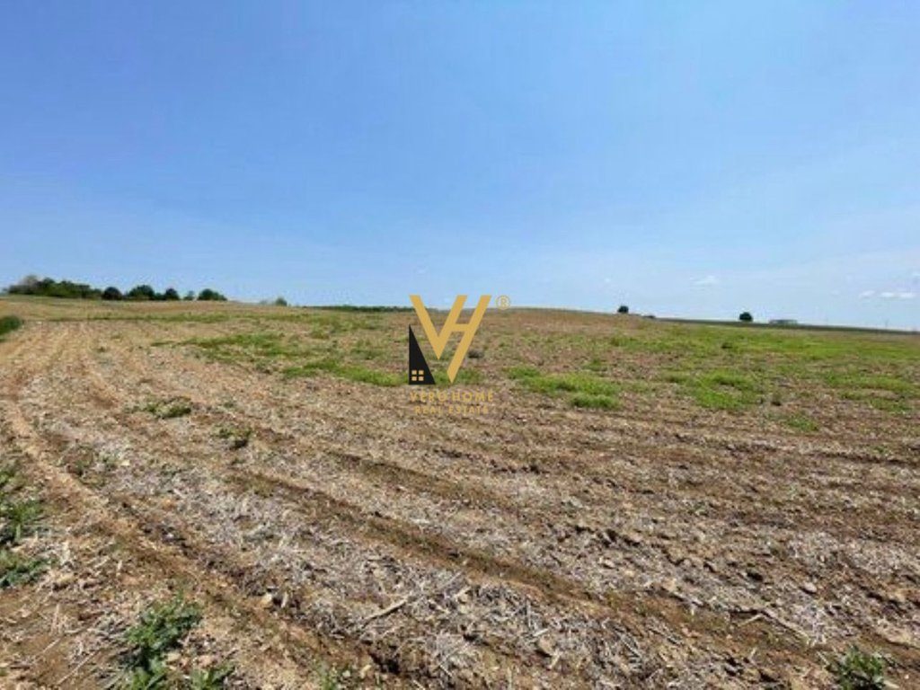 SHITET TOKE 1.440 M2 NE BERXULLE 210.000 EURO