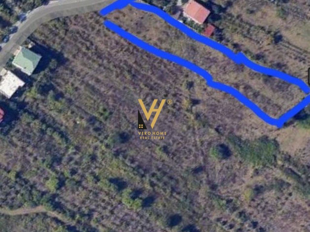 SHITET TOKE 2.000 M2 NE KASHAR 170.000 EURO