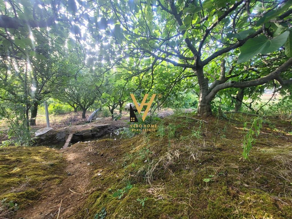 JEPET TOKE 4.000 M2 ME QERA NE TAPIZE 1.100 EURO 3
