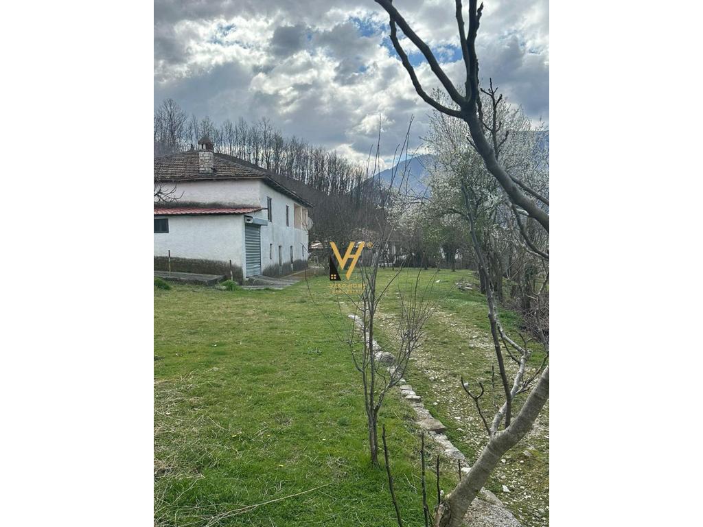 SHITET VILE DY KATESHE NE ZALL DAJT 27.000.000 LEKE