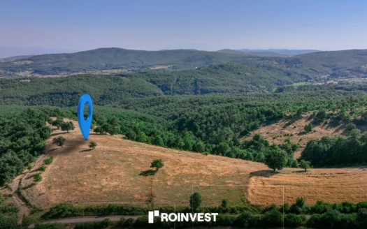 Parcelë 20ari në shitje! 2