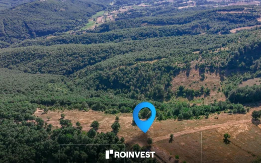 Parcelë 20ari në shitje! 4