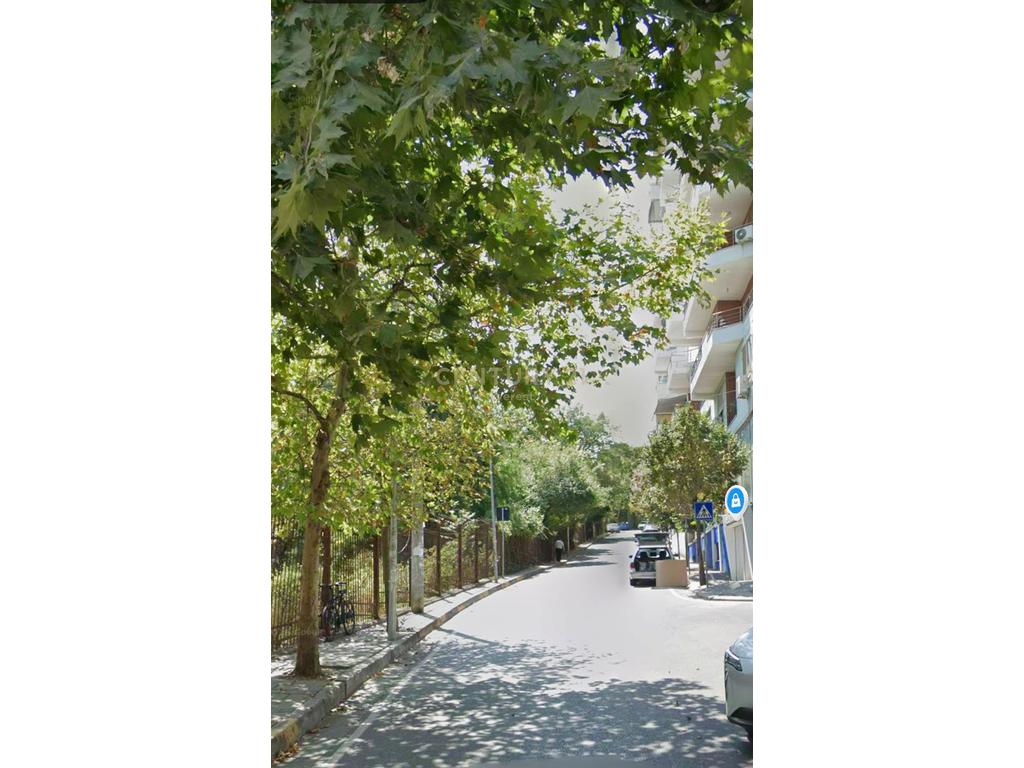 🌿NEAR THE BOTANICAL GARDEN -- BUSINESS PREMISES FOR RENT