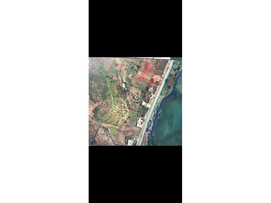 Pogradec, Shesim Toke 5200m2