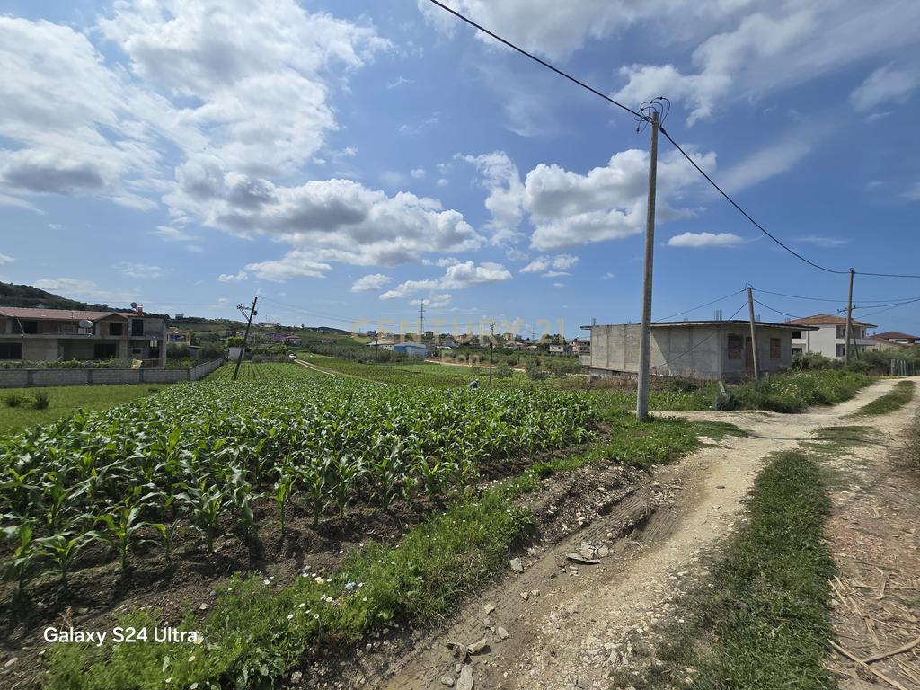 Shitet Tokë në Golem, 490m2 ! 4