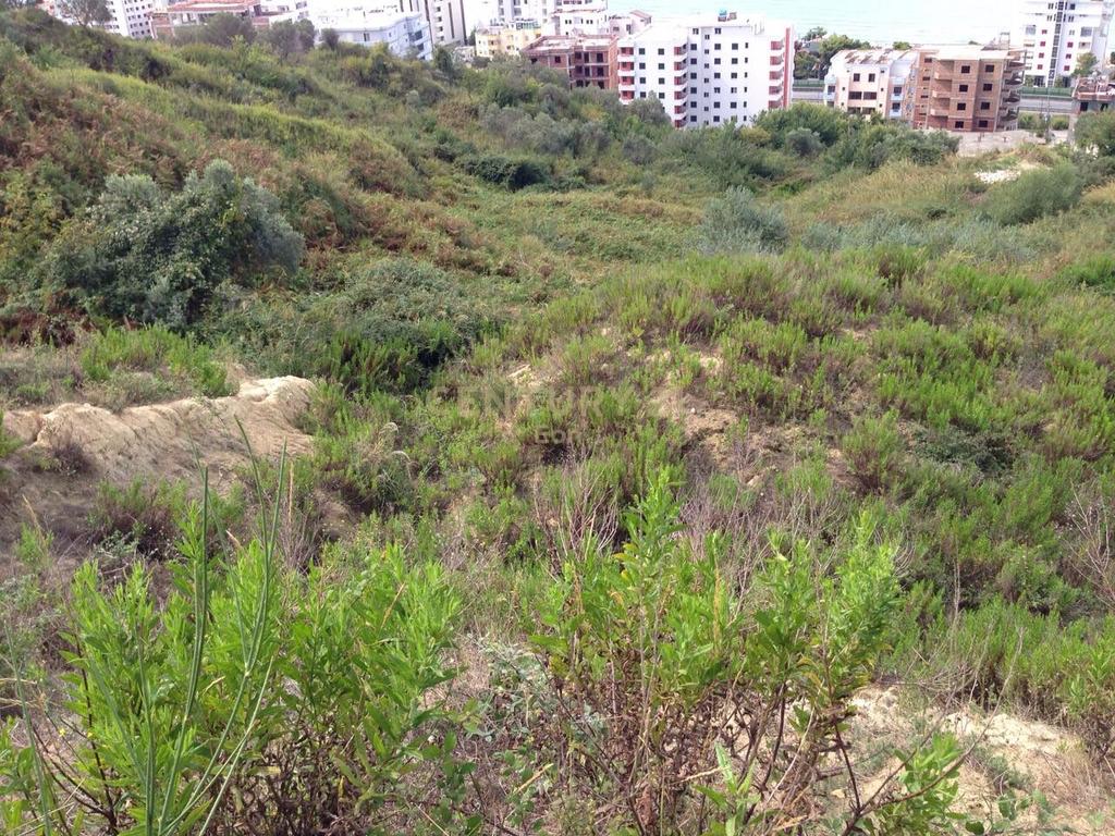 SHITET TOKE ME PAMJE DETI TEK SHKEMBI I KAVAJES , DURRES! 3