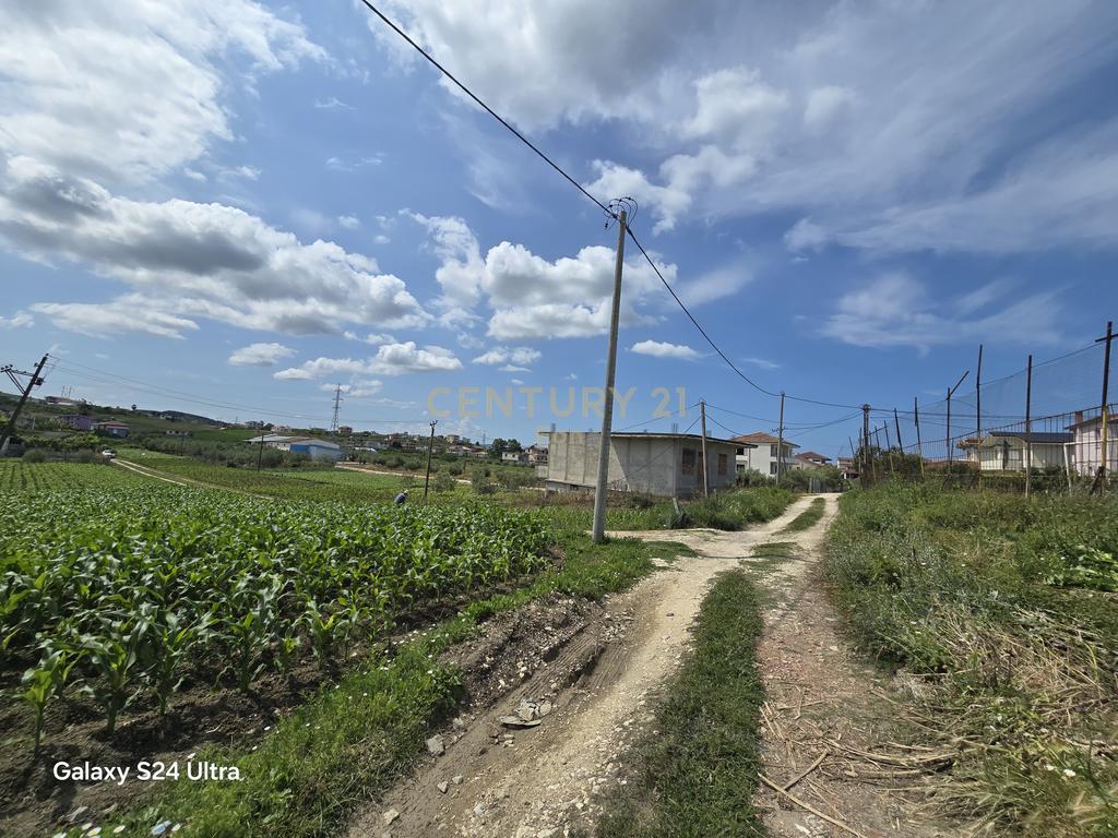 Shitet Tokë në Golem, 490m2 ! 3