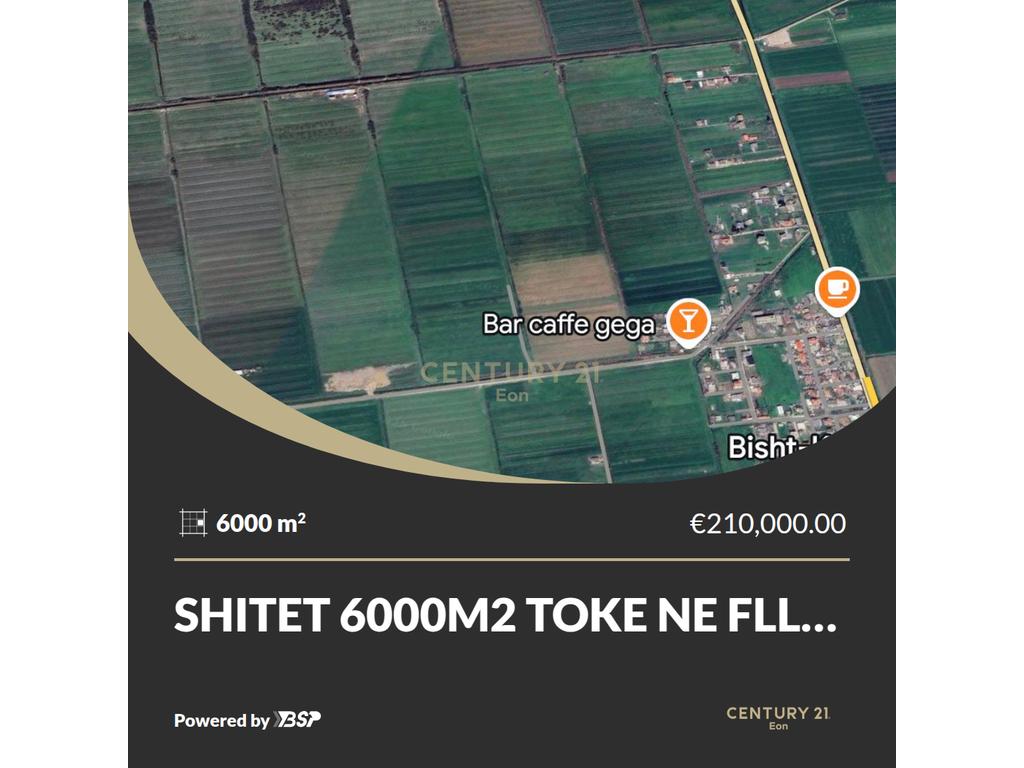 SHITET 6000M2 TOKE NE FLLAKE! 1