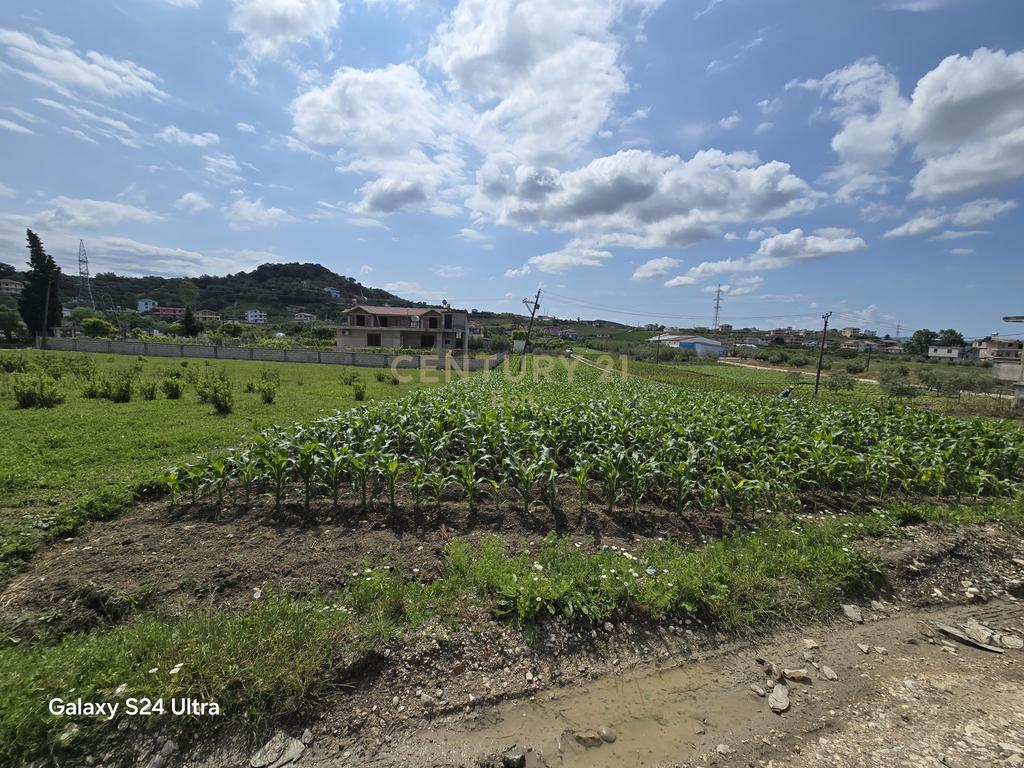 Shitet Tokë në Golem, 490m2 !