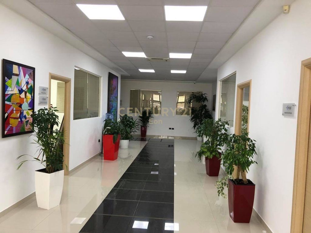 SHITET AMBIENT 996M2 PER SHUME QELLIME TEK VILA E ZOGUT! 4