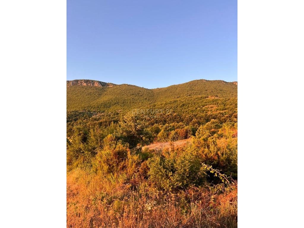 LAND FOR SALE 800M2 IN PELLUMBAS - POSSIBILITY OF EXPANSION AND VILLA CONSTRUCTION 3