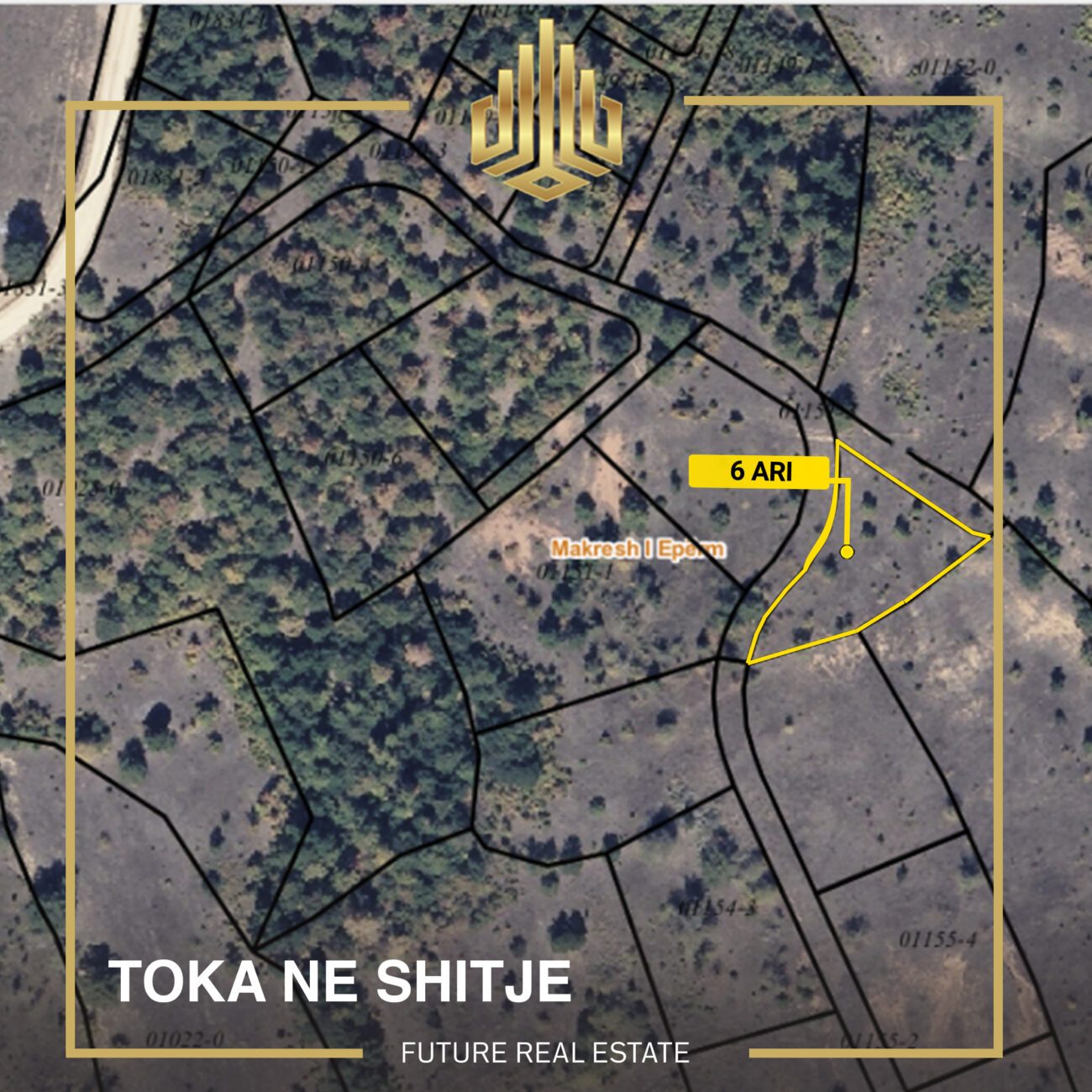 Tokë në SHITJE/6 Ari