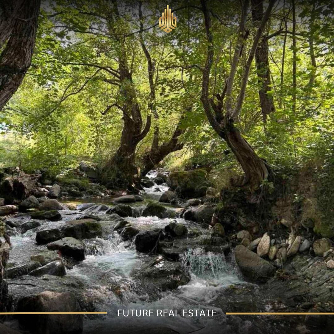 Tokë në SHITJE/3028m²