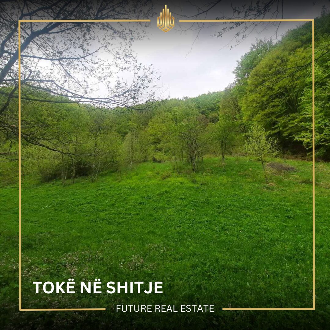 Tokë në SHITJE/3028m²