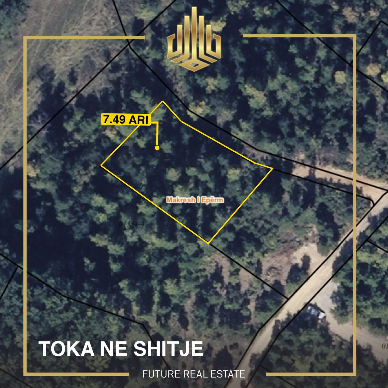 Toka në SHITJE/7.49 Ari