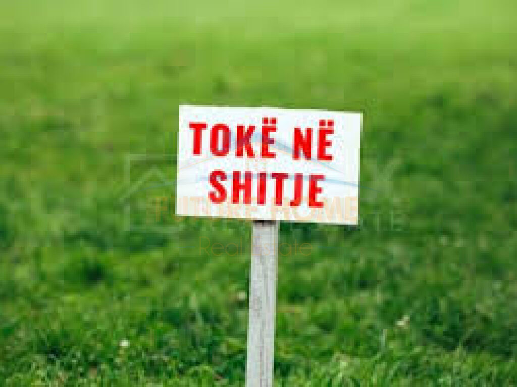 Shitet, Toke (Are), Jube