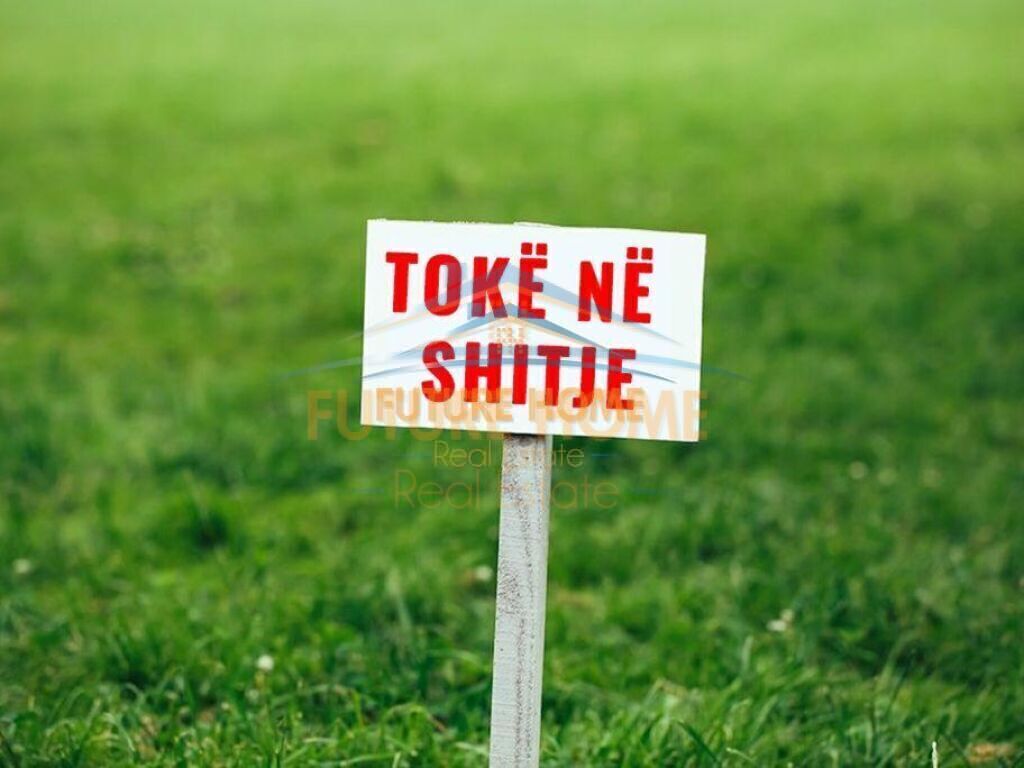Shitet,Toke, Kashar,Tirane.