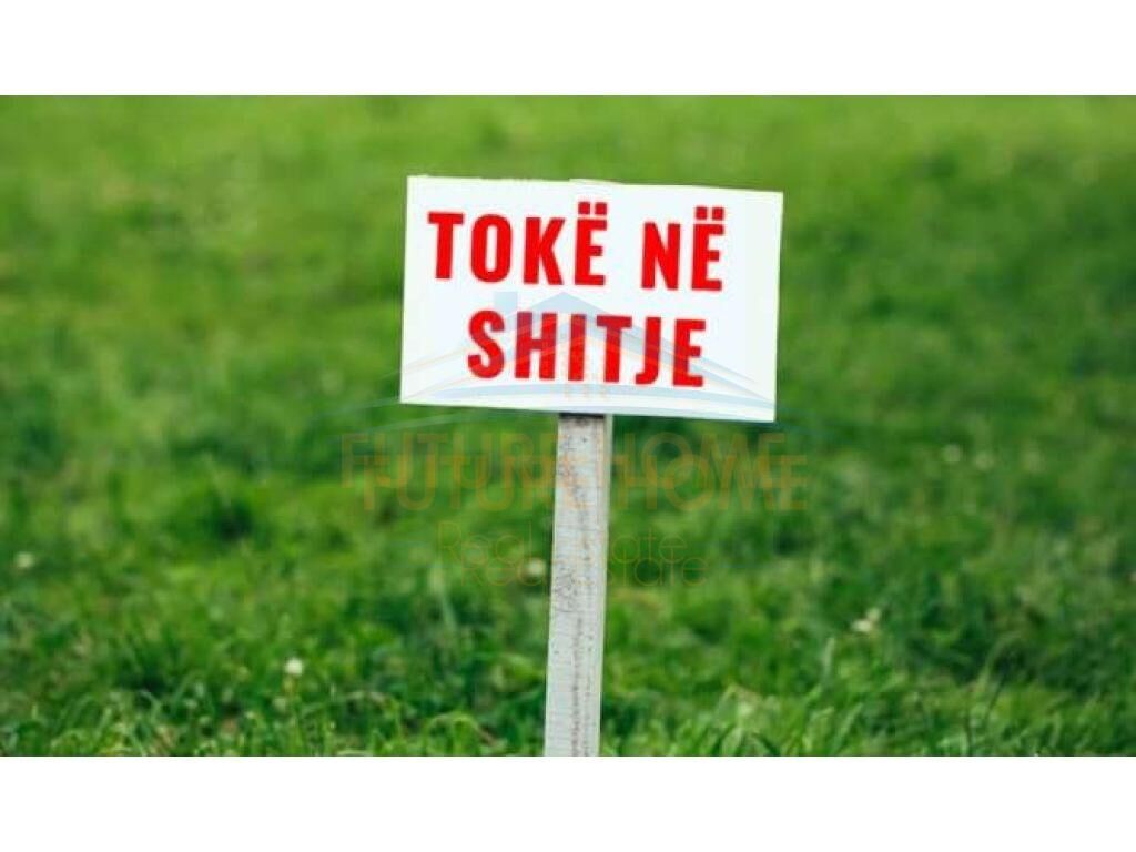Shitet, Tokë, Fushe-Preze,Tirane