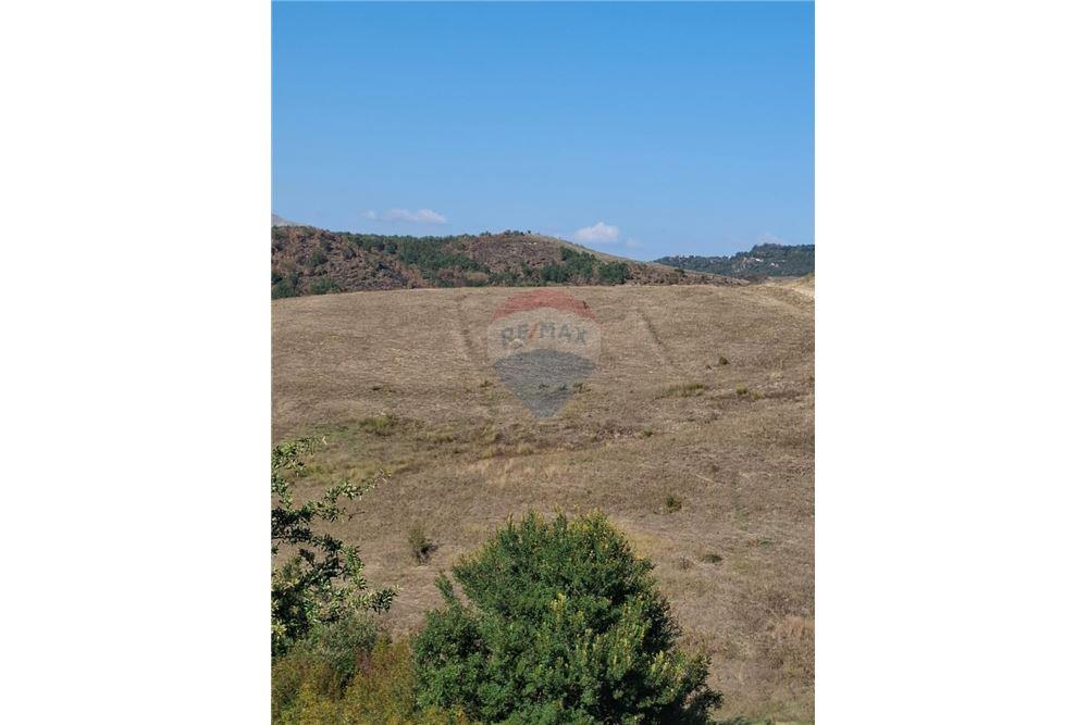 🌿 TOKË BUJQËSORE NË SHITJE – VAJZË, VLORË 🚜