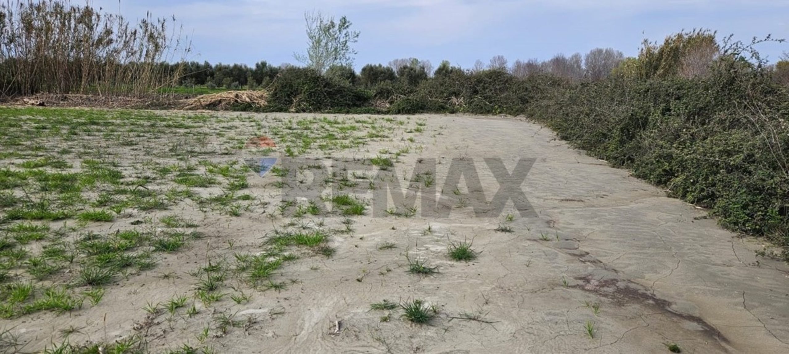 🌿 TOKË ARË PËR SHITJE – NOVOSELË, VLORË 📍 2
