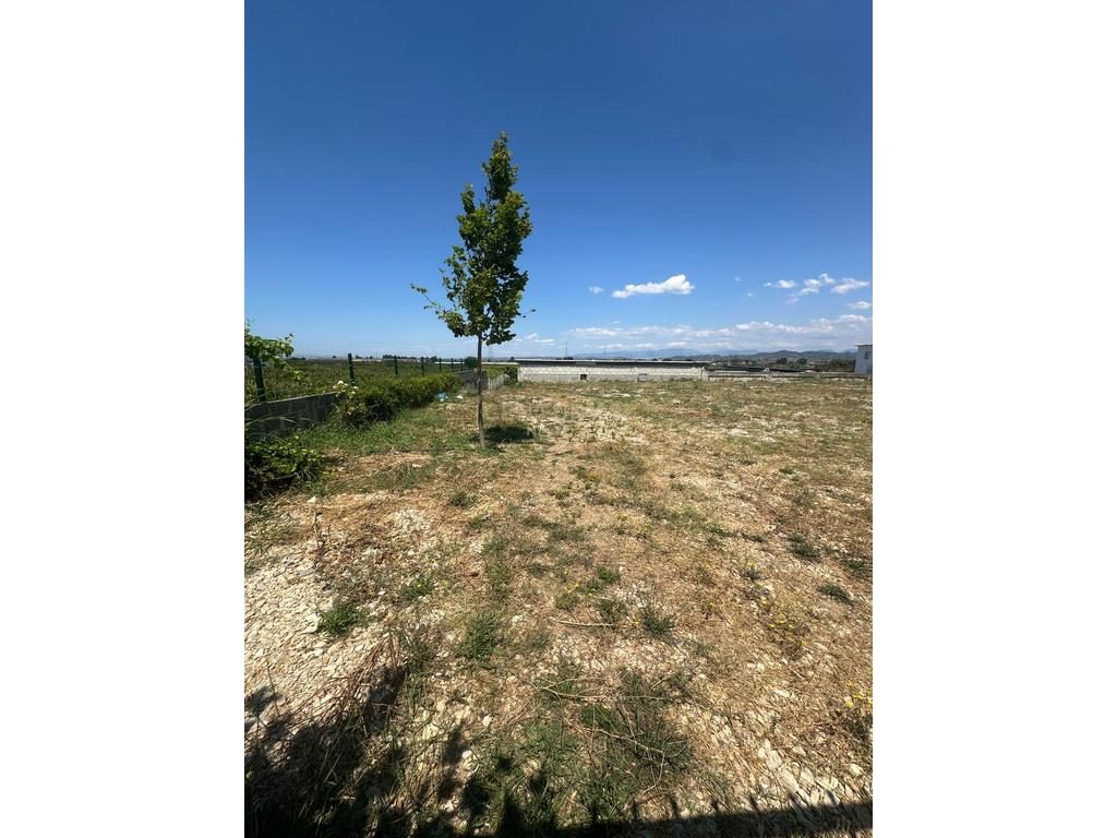 Tokë Shitje prane Vinea Resort Durrës, 270000€ | 4648 m² 2
