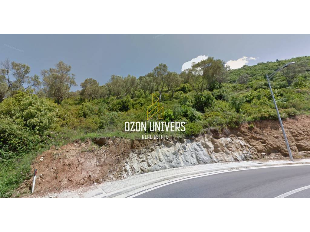 Shitet Tokë, buzë rruge Linzë! 1