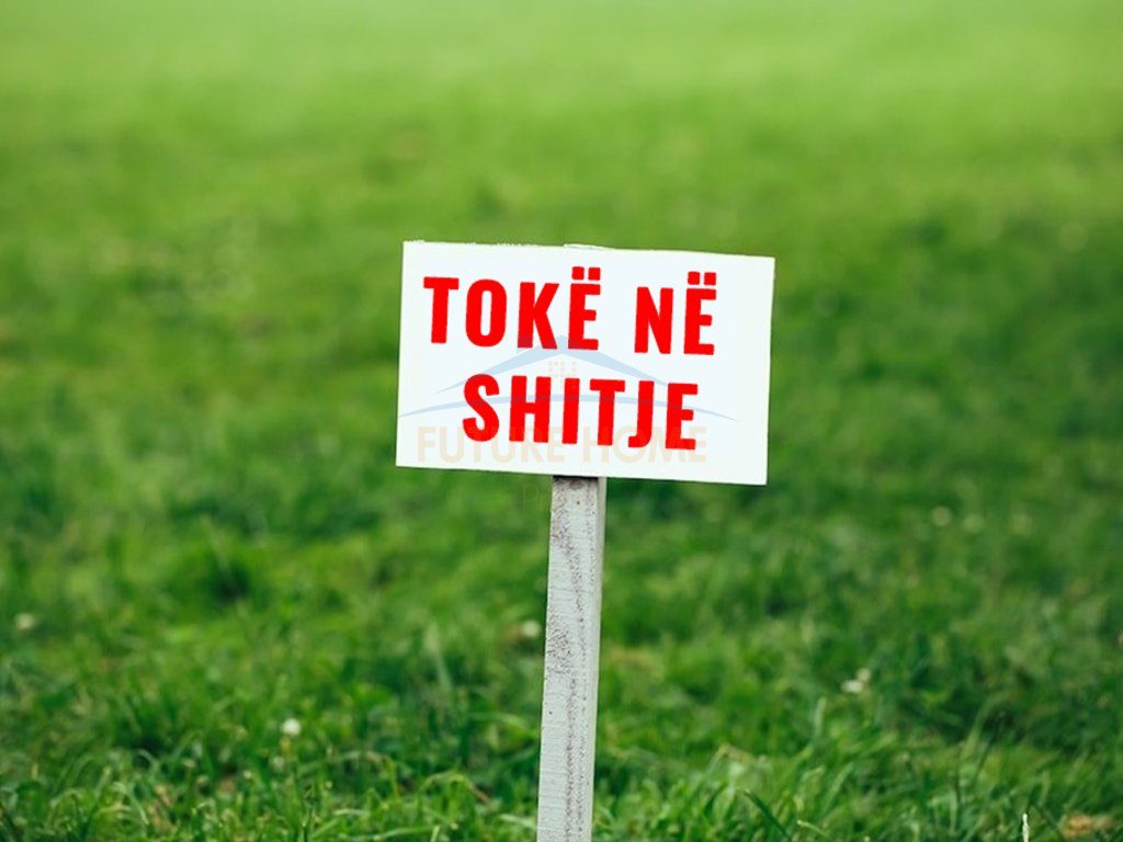Shitet , Toke , Arapaj , Durres
