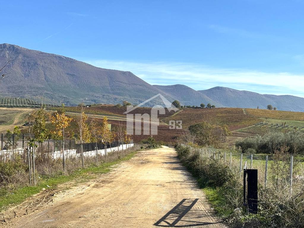 NE LUNDER, PRANE “AGROPARK TIRANA”
