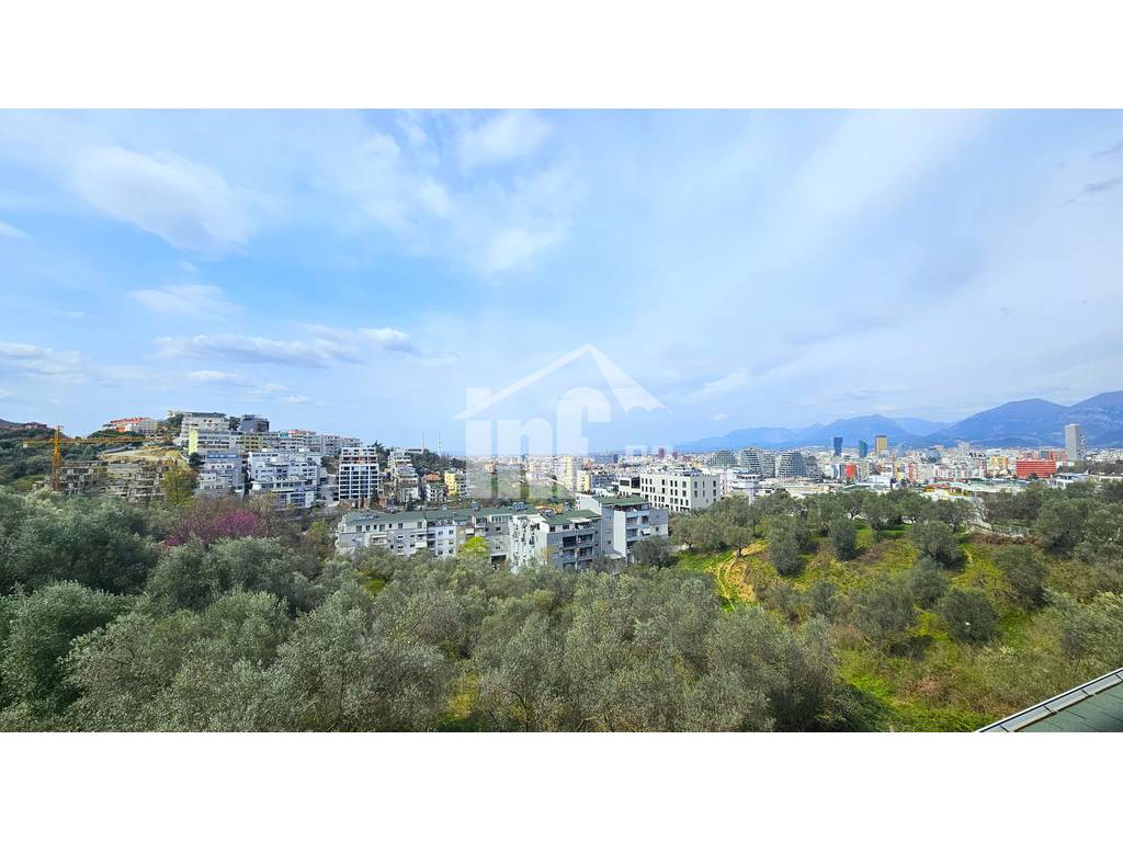 PRANË PARKUT TË LIQENIT