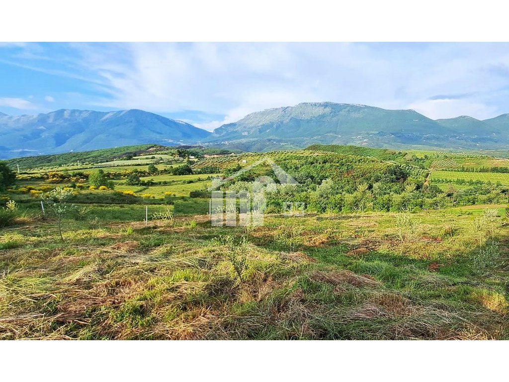 NE DAIAS, PRANE “NANO RESORT” 1