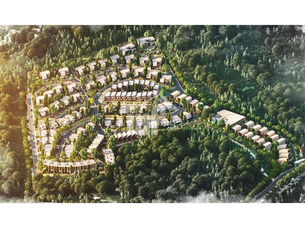 SEEHENA RESIDENCE, SAUK I VJETER