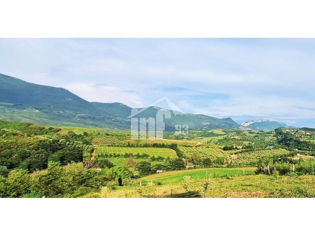 NE DAIAS, PRANE “NANO RESORT”