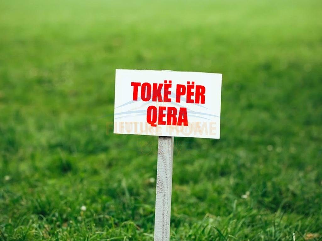 Qera, Toke, Rinas