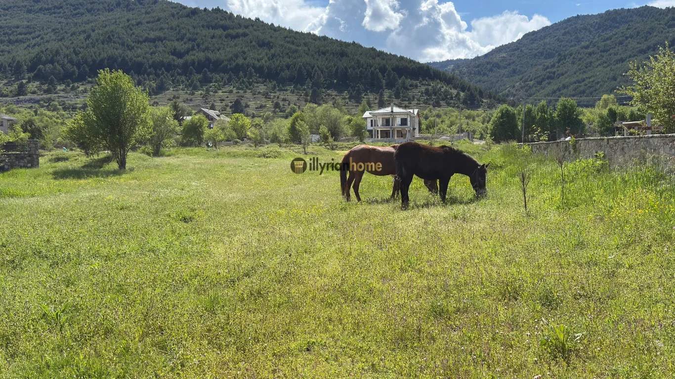 EKSKLUZIVE ,TOKË NË SHITJE | VOSKOPOJË, KORÇË 3