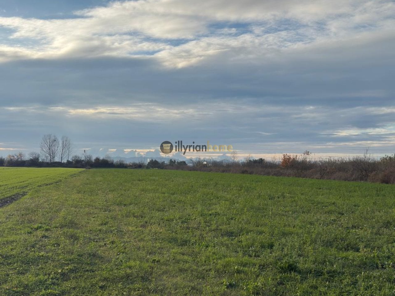 Shitet, Tokë me pozicion të favorshëm gjeografik, “Xhafzotaj”, Durrës