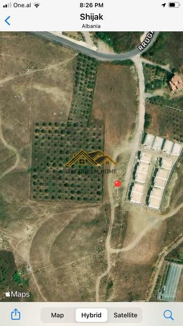 SHITET TOKE NE SHIJAK, 8500 M2.