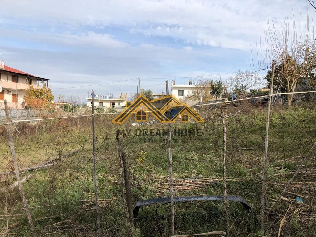 SHITET TOKE ME PAMJE TE LIQENIT NE ARAPAJ, DURRES! 2