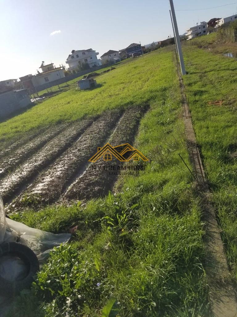 SHITET TOKE NE SHIJAK AFER KOMPLEKSI GJOKA