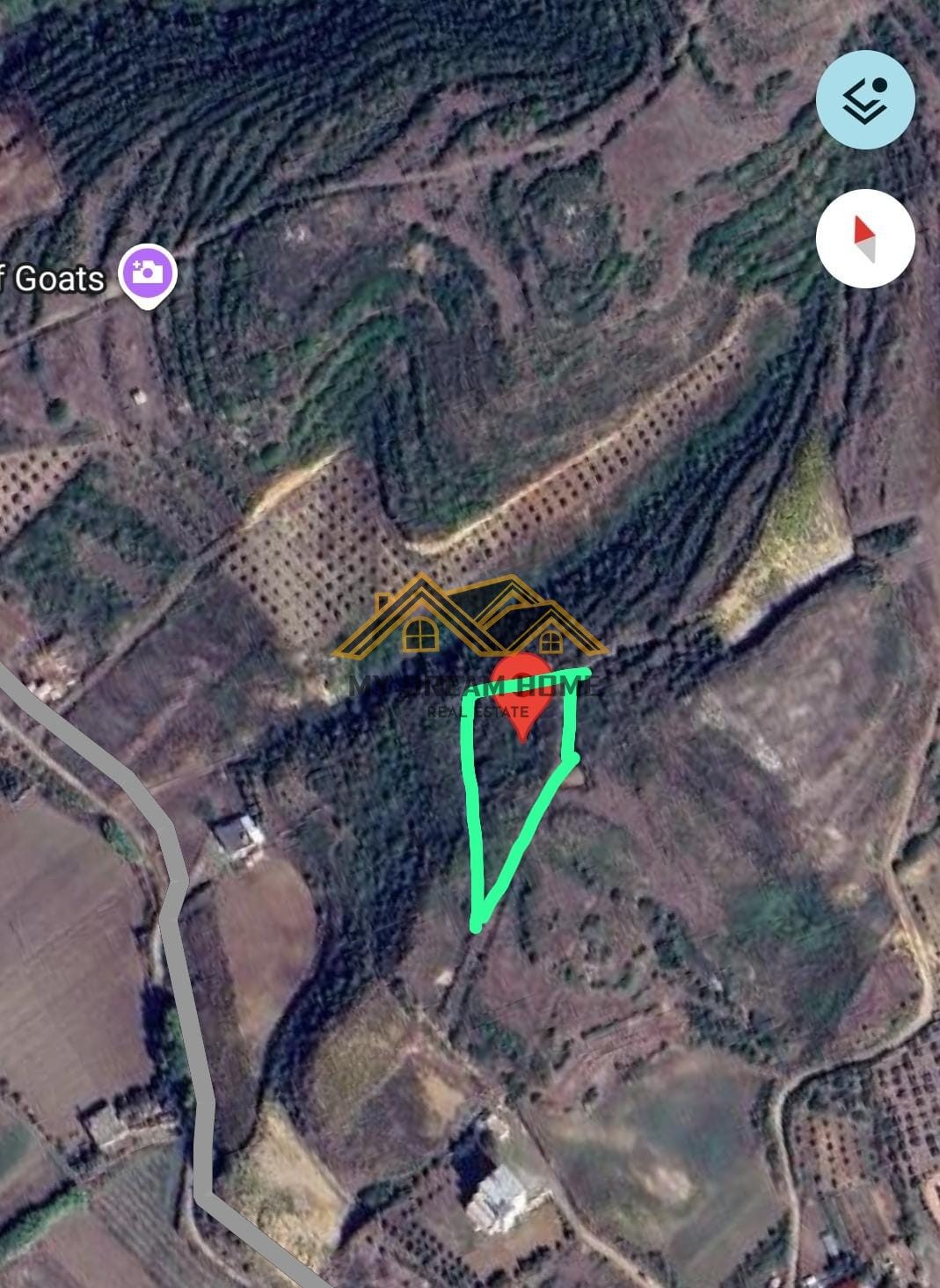 SHITET TOKE 2600 M2 NE SPILLE KODER ME PAMJE PIKTORESK DETIT 2