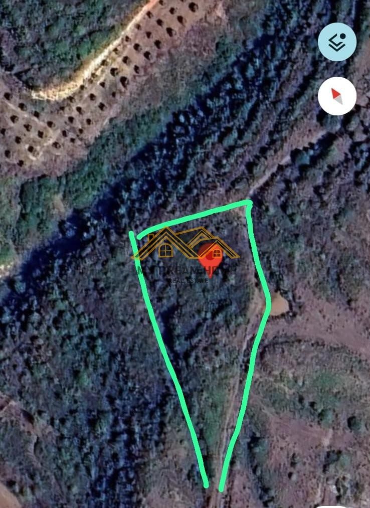 SHITET TOKE 2600 M2 NE SPILLE KODER ME PAMJE PIKTORESK DETIT 4