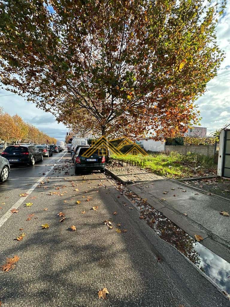 SHITET TOKE VIJE TE PARE ME RRUGEN KRYESORE ISH-KENETES 3
