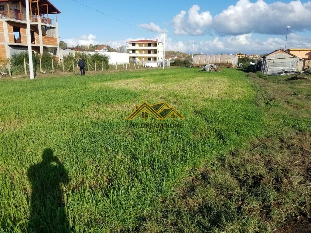SHITET TOKE NE SHIJAK AFER KOMPLEKSI GJOKA