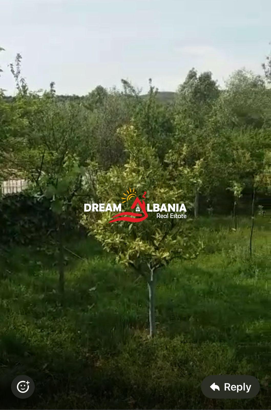 Disa toka ne shitje ne Ibe e Poshtme, Tirane(ID 4191145) 2