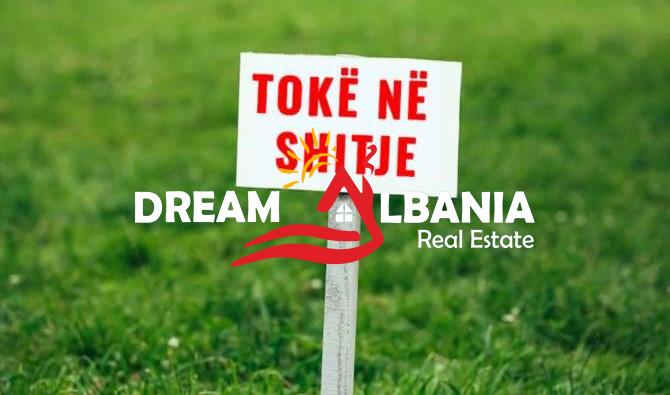 Shitet Toke Tek Gjiri i Rodonit, Shume prane Detit (ID 4191199)